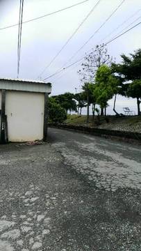 42-美堤農地