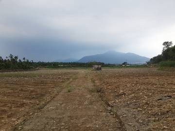 S291龍泉金池