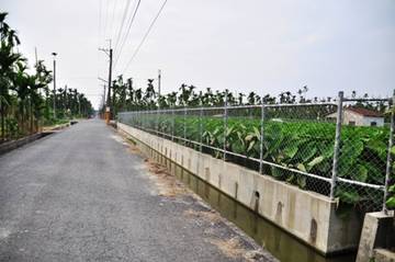 445-竹田頭崙農地