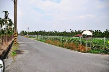 445-竹田頭崙農地