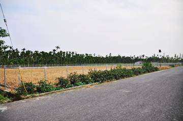 445-竹田頭崙農地