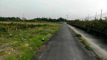 編號317-高樹泰和美地