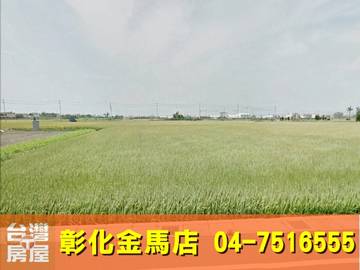 南環路田