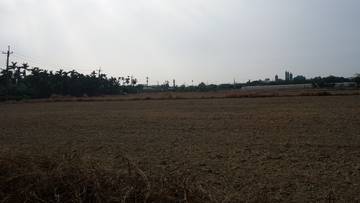 AF001 九塊農地