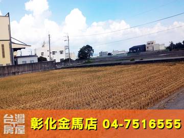 近民生街田
