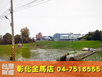㊣番花路田