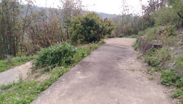  清水巷農地