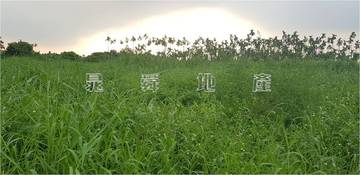 DA268＊和興2.9分
