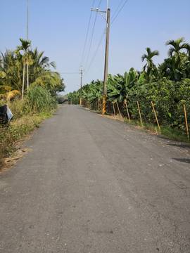 LS54562 鹽埔農地