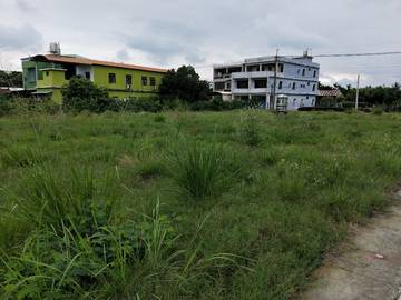 AF365 塩埔維新農地