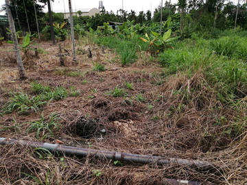 AF371 龍泉都計農建地