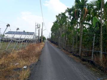 AF385 土庫國小農地
