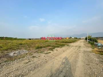 編號LS71144-高樹新南勢農地B