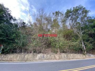 編號LS73341-泰武佳平原保地