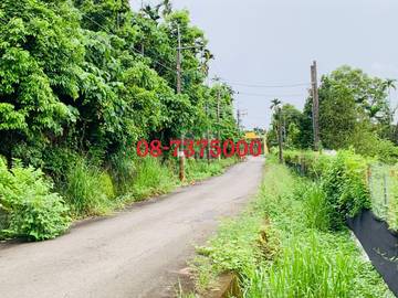 編號598-高樹廣興美農地
