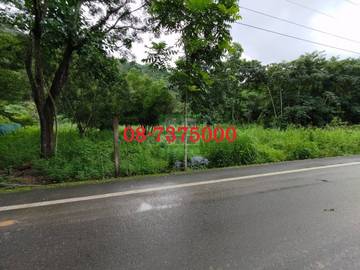 編號73-沿山公路大農地A