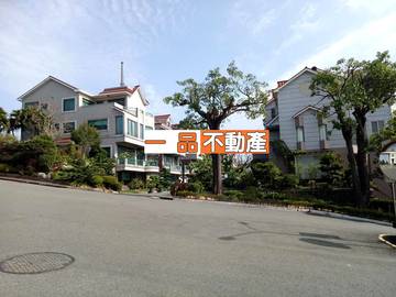 海頓總裁別墅