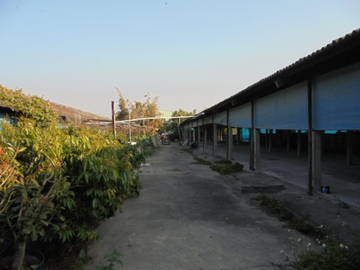 虎科大,78快速道交流道旁畜牧場