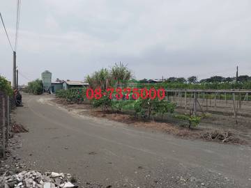 編號184-新園合法雞舍
