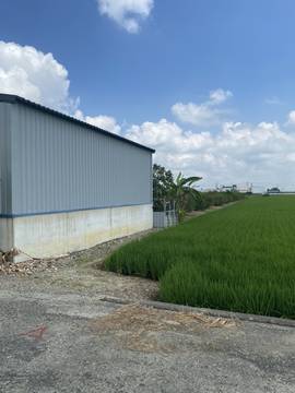 (已售出)民雄菁埔農地