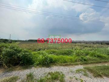 編號SS36247-高樹悠靜美農地