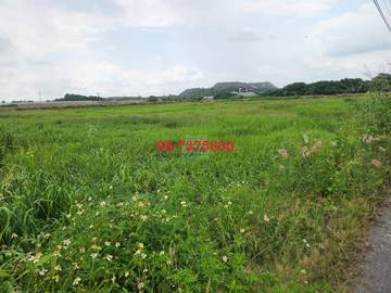 編號SS36257-高樹方正美農地