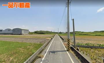 頂庄中央路旁田