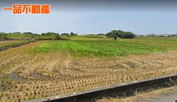 頂庄中央路旁田