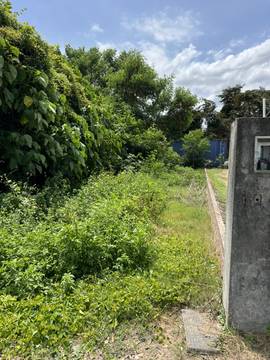 民雄雙援好規劃建地