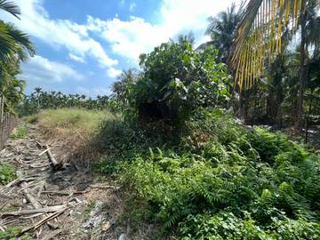 E348-繁華建地+農地
