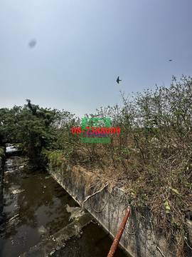 編號SS43152-新埤農地
