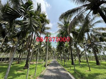 編號SS43319-長治百寶渡假園地