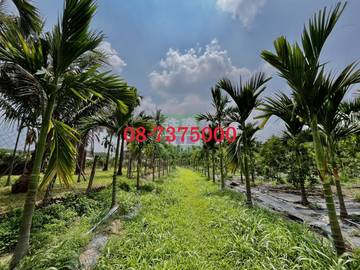 編號SS43319-長治百寶渡假園地