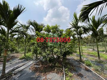 編號SS43319-長治百寶渡假園地