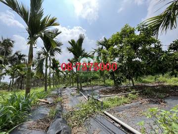 編號SS43319-長治百寶渡假園地