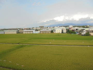 頭橋,民雄工業區別墅住家