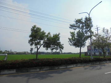 近民雄市區,中正大學增值農地