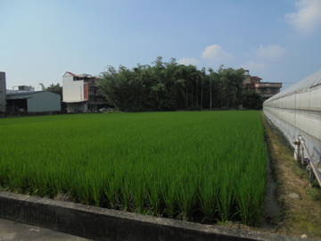 近民雄市區,中正大學增值農地