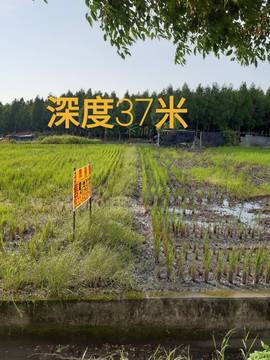 林內外環路農地