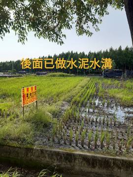 林內外環路農地