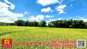 東森房屋大雅中清店-雙面路方正角地