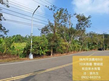 林內坪頂農地9分