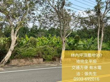 林內坪頂農地9分