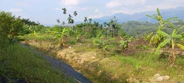 南投中寮鄉中集路農地