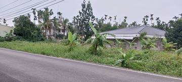 古坑桂林內館農地