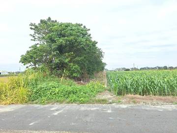 高鐵農地
