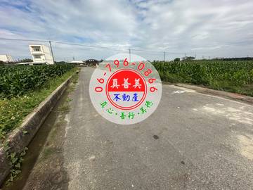 #4569 七股近村莊農地