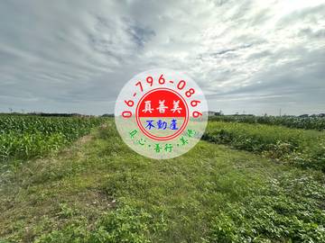 #4569 七股近村莊農地