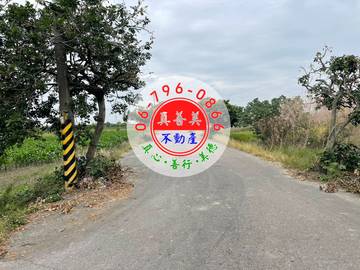#4570 安定近南科.國八農地