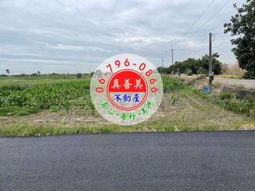 #4570 安定近南科.國八農地